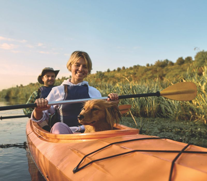 Couple kayaking with dog