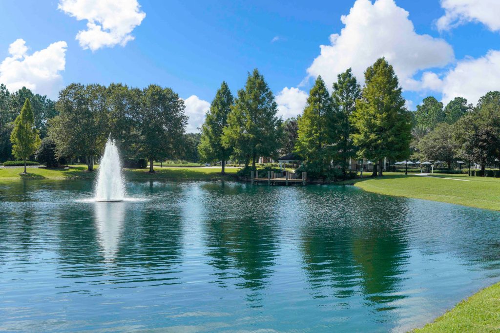 Amelia Walk Community Lake