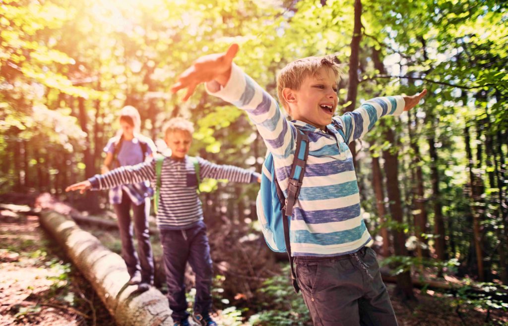 GreyHawk Family Hiking