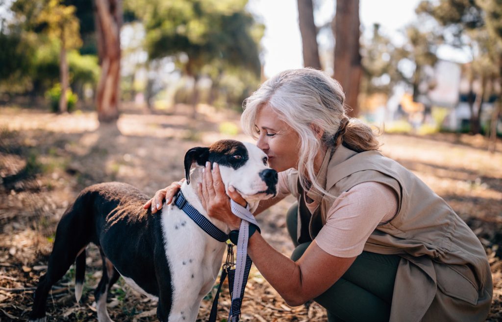 Hyland Trail Dog Park