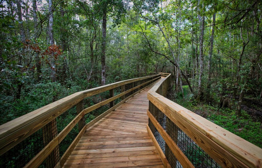 TrailMark Landning Boardwalk