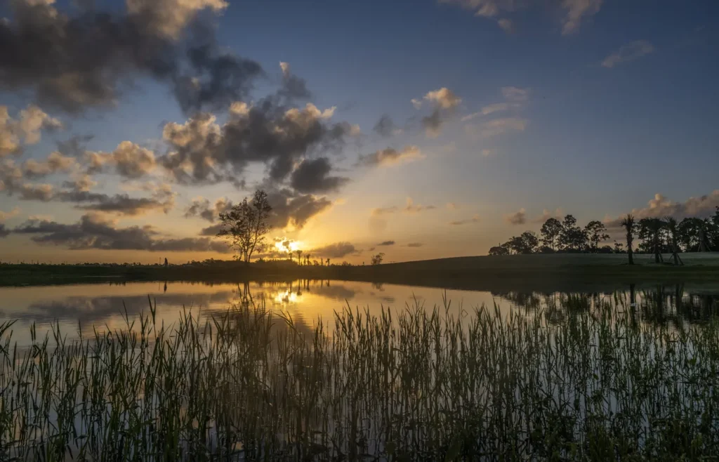 Glynlea Sunset